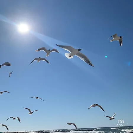 Black Pearl Z Krytym Basenem -pobierowo Baltic Apartments-sannel For Rent